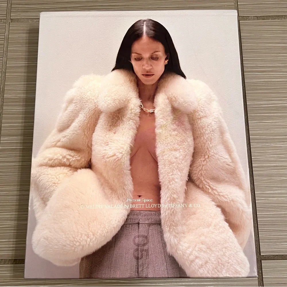 Rare Present Space Tiffany & Co. coffee table book 2025 jewelry fashion
